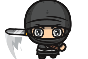 Ninja Climb